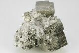2.9" Shiny, Cubic Pyrite Crystal Cluster with Quartz - Peru - #202984-1